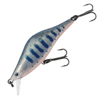 ラクス　５０Ｓ